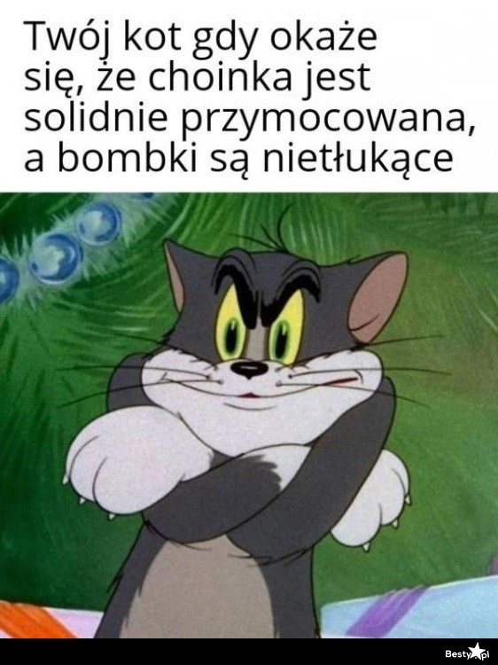 
    W tym roku choinka nie zemdleje 