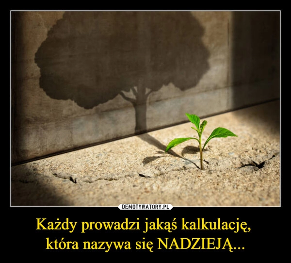 
    Każdy prowadzi jakąś kalkulację, 
która nazywa się NADZIEJĄ...