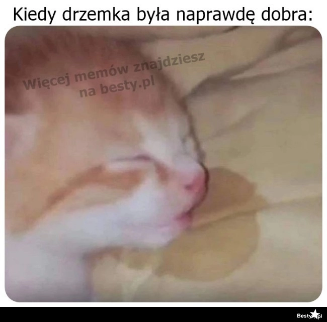 
    Drzemka 