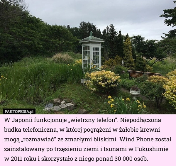 
    W Japonii funkcjonuje „wietrzny telefon”. Niepodłączona budka telefoniczna...