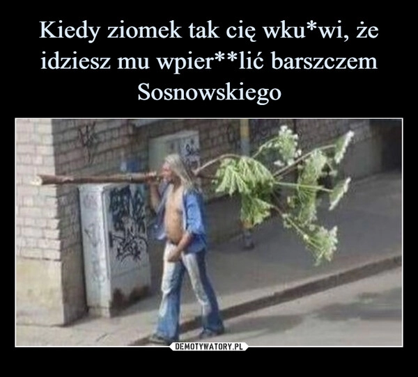 
    Kiedy ziomek tak cię wku*wi, że idziesz mu wpier**lić barszczem Sosnowskiego