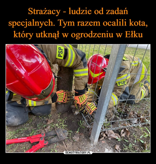 
    Strażacy - ludzie od zadań specjalnych. Tym razem ocalili kota, który utknął w ogrodzeniu w Ełku