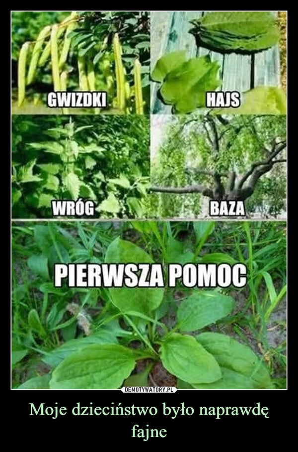
    Moje dzieciństwo było naprawdę fajne