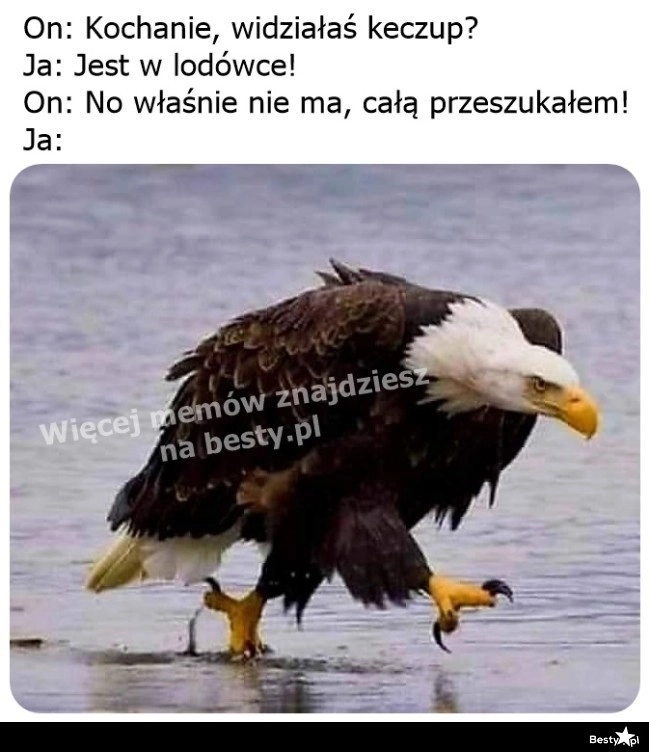 
    Zaraz magicznie się znajdzie 