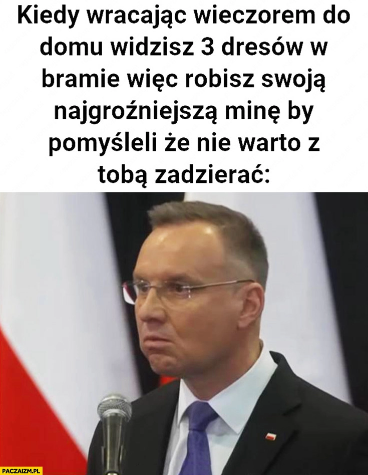 
    Andrzej Duda kiedy wracając wieczorem do domu widzisz 3 dresów w bramie więc robisz swoja najgroźniejszą minę żeby wiedzieli ze nie warto z Tobą zadzierać