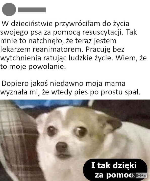 
    Nie ma za co, mój piesku...