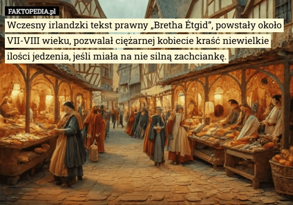 
    Wczesny irlandzki tekst prawny „Bretha Étgid”, powstały około VII-VIII wieku...