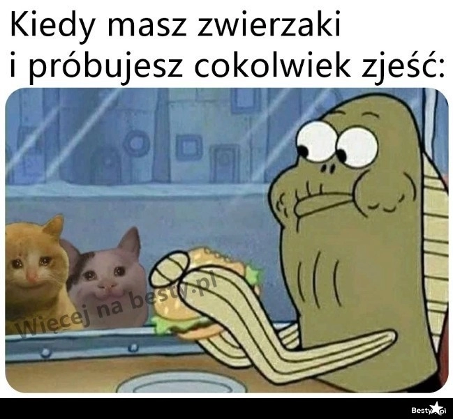 
    No daj trochę 