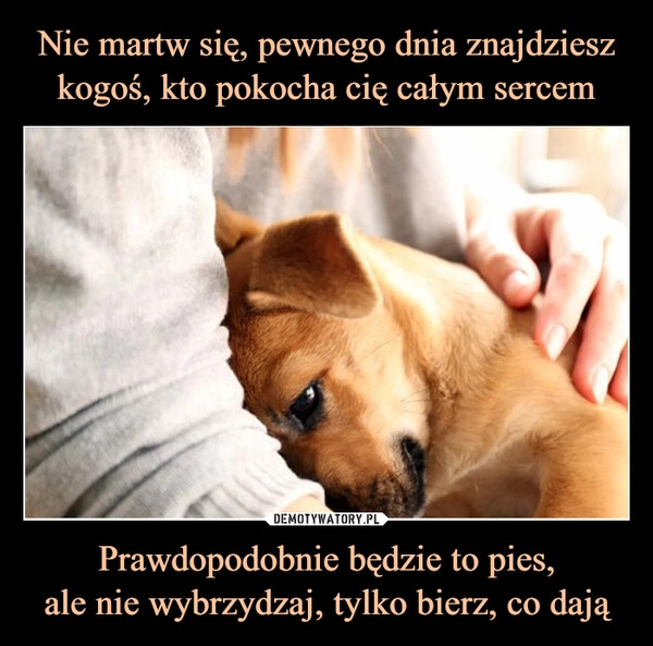 
    Nie martw się, pewnego dnia znajdziesz kogoś, kto pokocha cię całym sercem Prawdopodobnie będzie to pies,
ale nie wybrzydzaj, tylko bierz, co dają