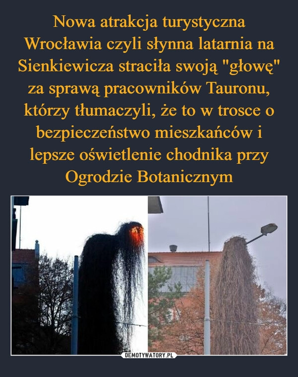 
    Nowa atrakcja turystyczna Wrocławia czyli słynna latarnia na Sienkiewicza straciła swoją "głowę" za sprawą pracowników Tauronu, którzy tłumaczyli, że to w trosce o bezpieczeństwo mieszkańców i lepsze oświetlenie chodnika przy Ogrodzie Botanicznym 