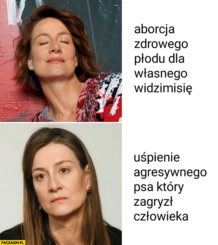 
    Maja Ostaszewska reakcja aborcja zdrowego płodu dla własnego widzimisię vs uśpienie agresywnego psa który zagryzł człowieka