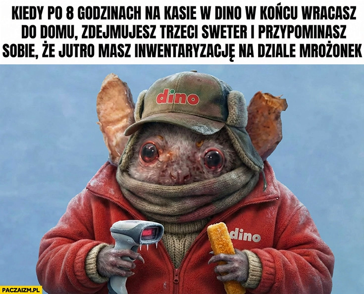 
    Pracownik kiedy po 8 godzinach na kasie w Dino wracasz do domu, zdejmujesz trzeci sweter i przypominasz sobie, że jutro masz inwentaryzację na dziale mrożonek
