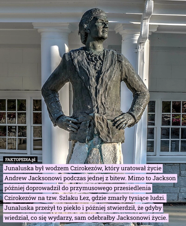 
    Junaluska był wodzem Czirokezów, który uratował życie Andrew Jacksonowi...