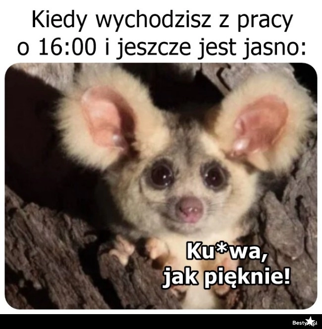 
    Aż chce się żyć! 