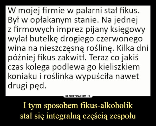 
    I tym sposobem fikus-alkoholik
stał się integralną częścią zespołu