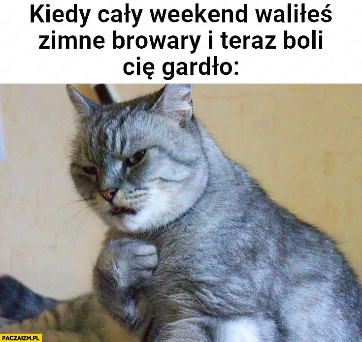 
    Kot kiedy cały weekend waliłeś zimne browary i teraz boli Cię gardło