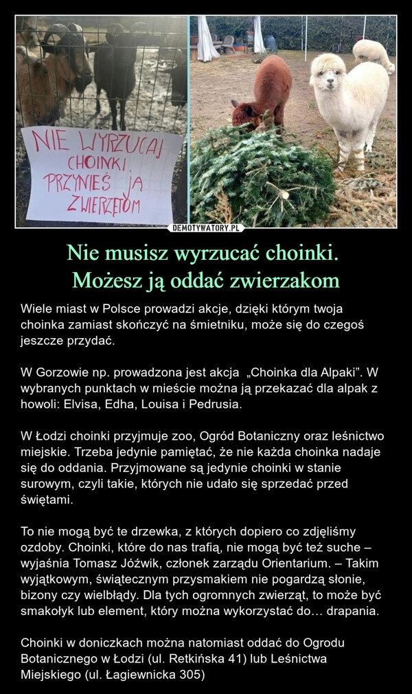 
    Nie musisz wyrzucać choinki. 
Możesz ją oddać zwierzakom