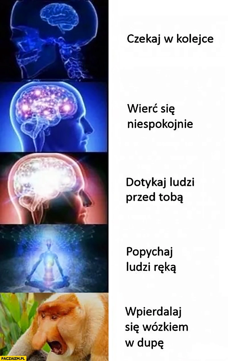 
    Czekaj w kolejce, wierć się niespokojnie, dotykaj ludzi przed Tobą, popychaj ludzi ręką, wpierdzielaj się wózkiem w dupę typowy Polak nosacz małpa mózg