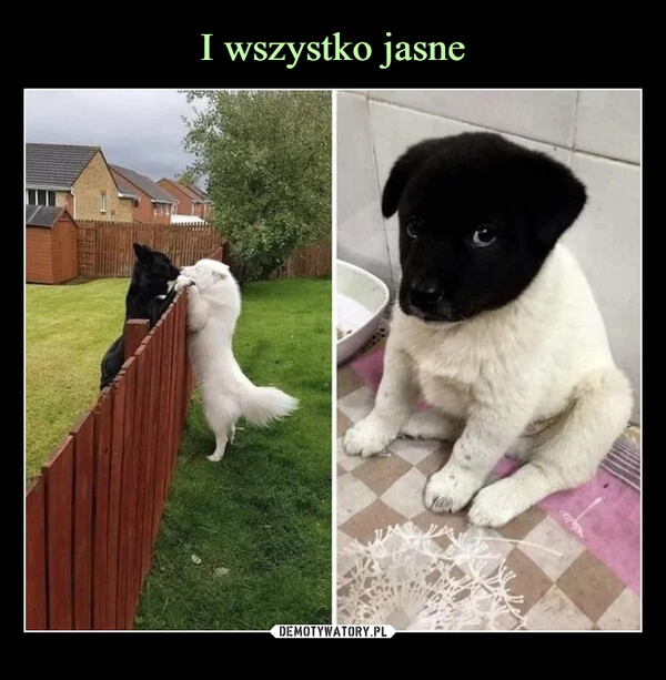 
    I wszystko jasne