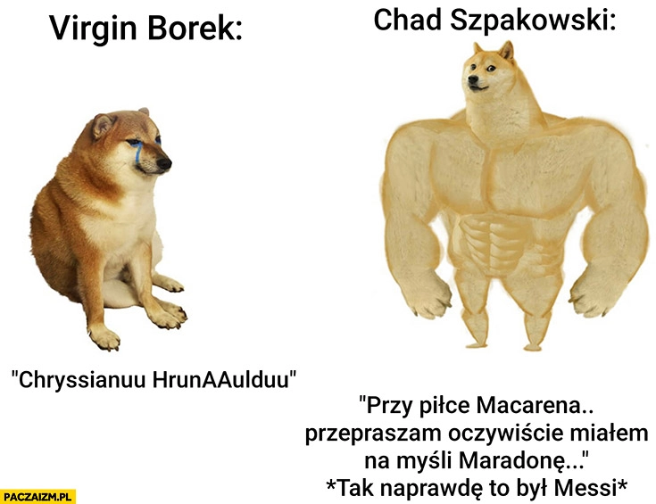 Virgin Borek vs chad Szpakowski przy piłce Macarena przepraszam Maradona a to był Messi pies pieseł doge cheems