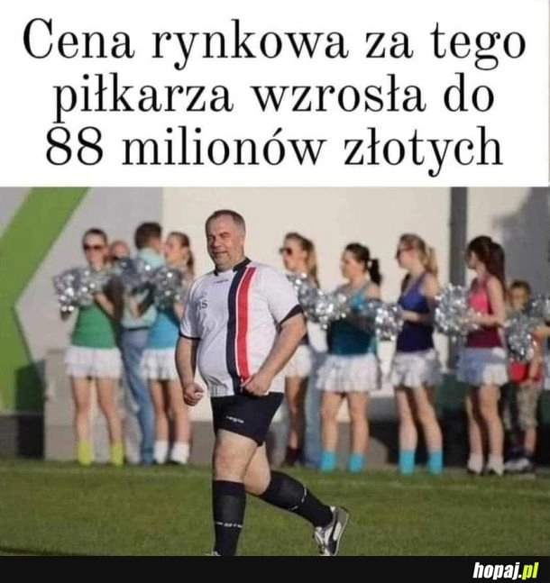 
    Cena wzrosła