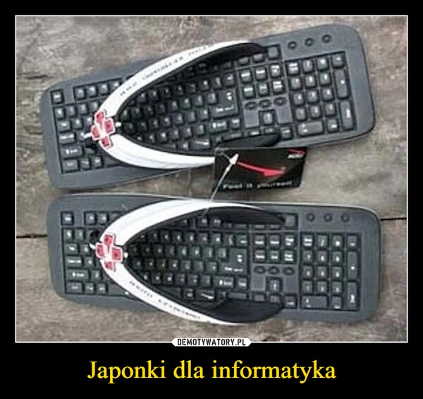 
    Japonki dla informatyka