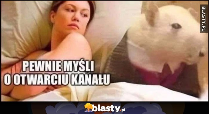 
    Pewnie myśli o otwarciu kanału szczur