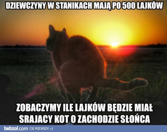 
    Lajkujemy