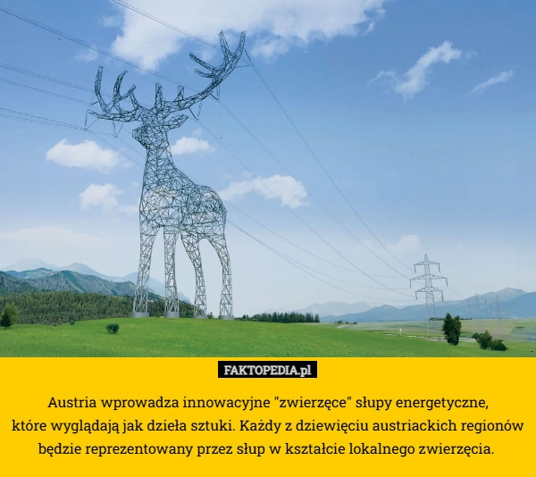 
    Austria wprowadza innowacyjne "zwierzęce" słupy energetyczne,