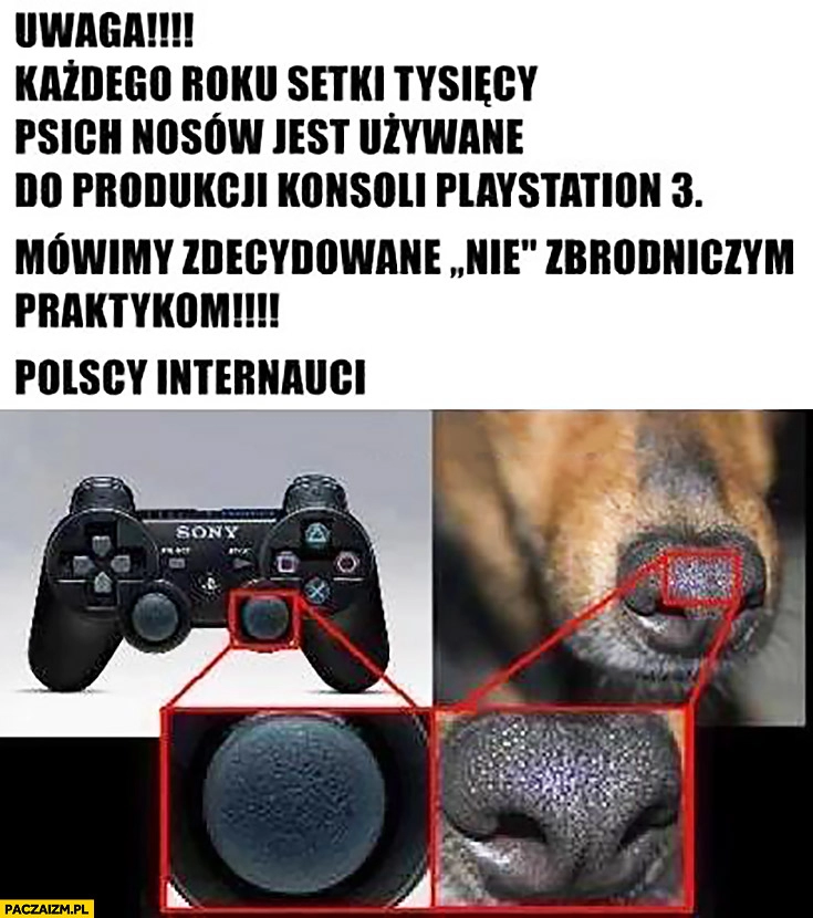 
    Każdego roku setki tysięcy psich nosów są używane do produkcji gałki na padzie PlayStation