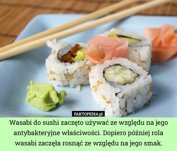 
    Wasabi do sushi zaczęto używać ze względu na jego antybakteryjne właściwości.