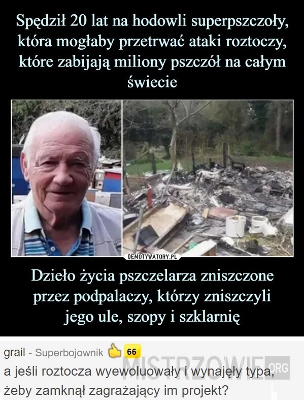 
    Pszczelarz