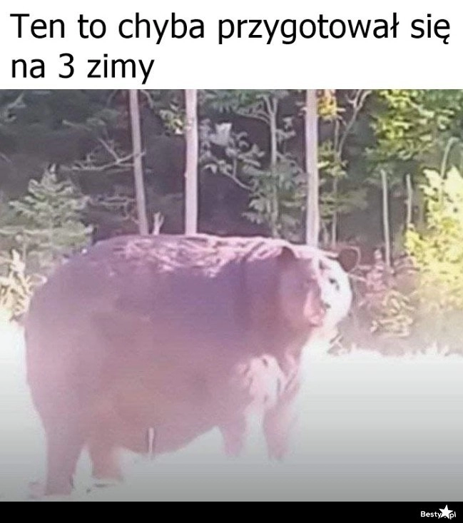 
    Przygotowany na zimę 