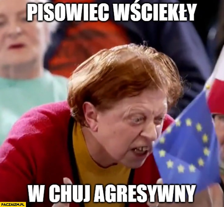 
    Pisowiec wściekły w kij agresywny kobieta na wiecu Tuska platformy