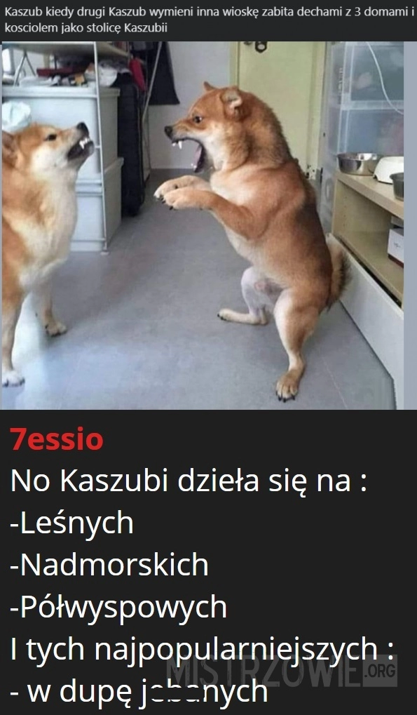 
    Kaszubi