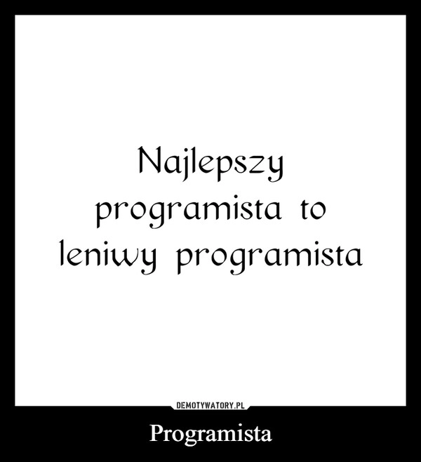 
    Programista