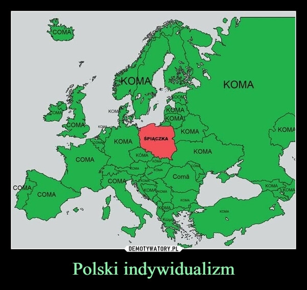 
    Polski indywidualizm