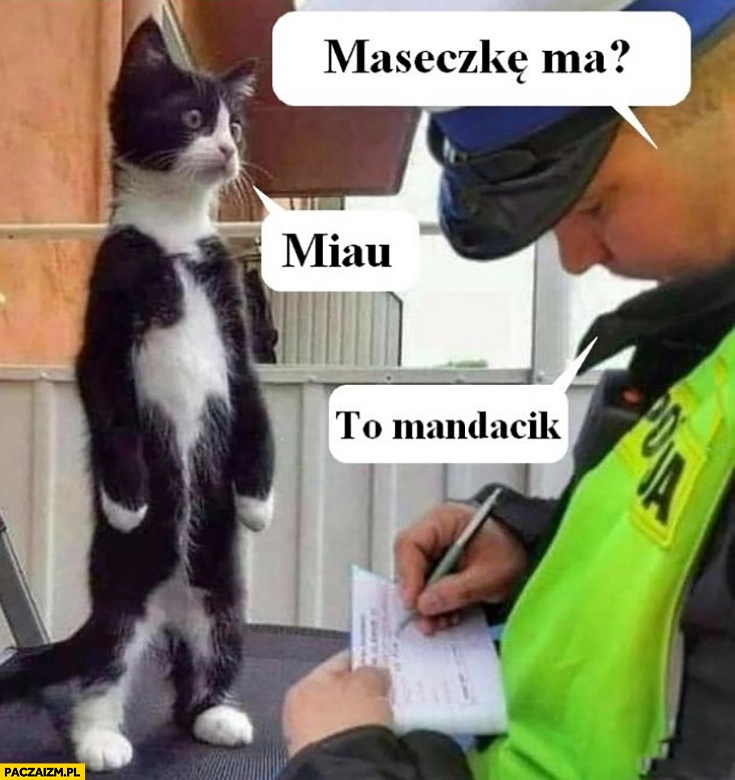 
    Kot policjant maseczkę ma? Miau, to mandacik