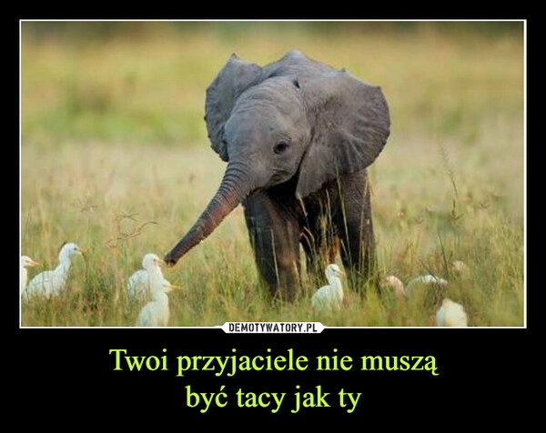 
    Twoi przyjaciele nie muszą
być tacy jak ty