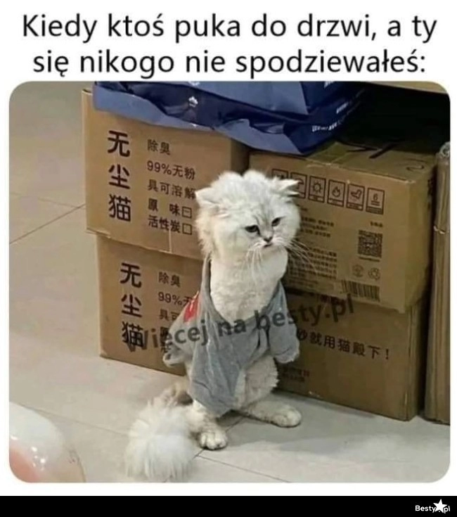 
    Nikogo nie ma w domu 