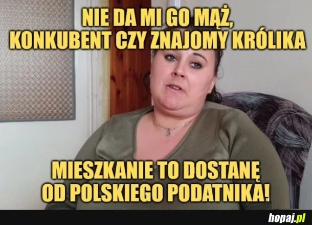 
    Mieszkanie.