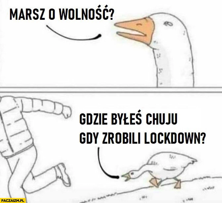 
    Gęś marsz o wolność? Gdzie byłeś gdy zrobili lockdown?