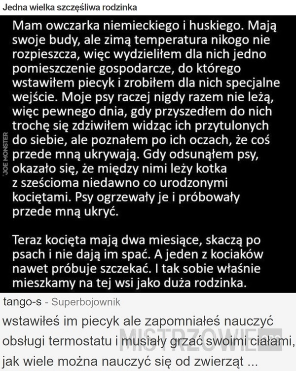 
    Jedna wielka szczęśliwa rodzinka