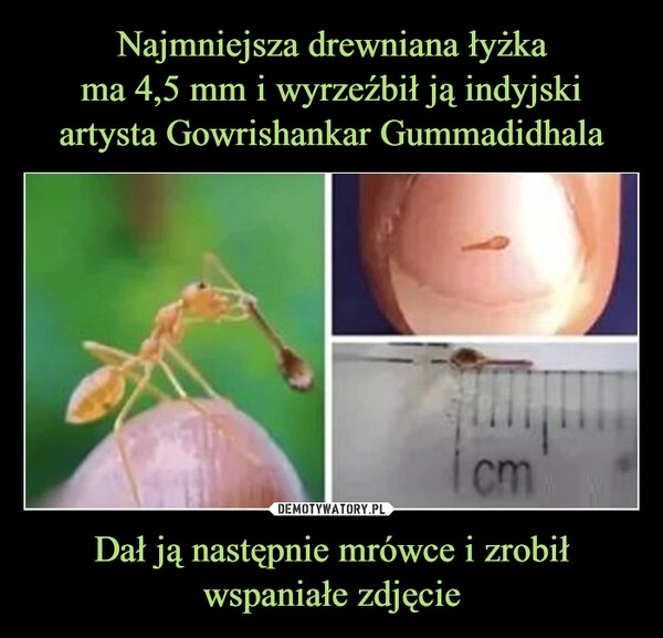 
    Najmniejsza drewniana łyżka
ma 4,5 mm i wyrzeźbił ją indyjski artysta Gowrishankar Gummadidhala Dał ją następnie mrówce i zrobił wspaniałe zdjęcie