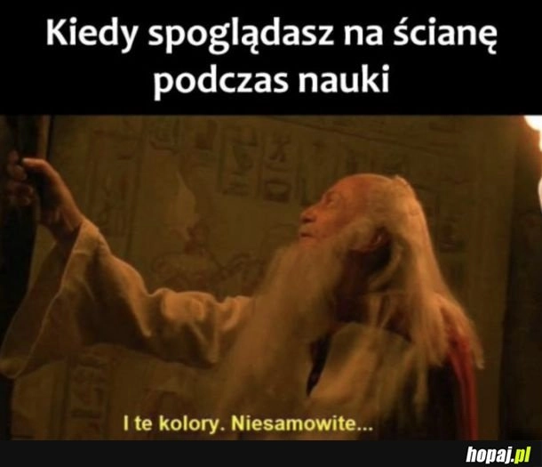 
    Nagle wszystko staje się interesujące