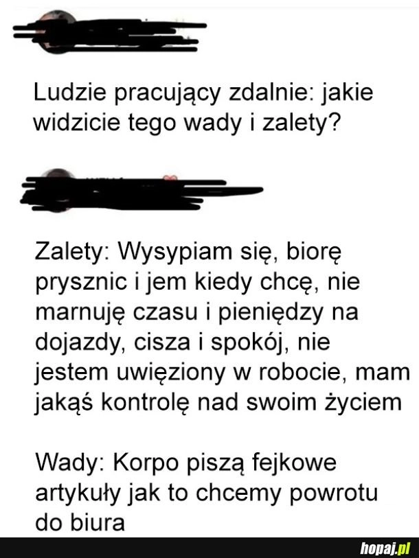 
    Wady i zalety pracy zdalnej