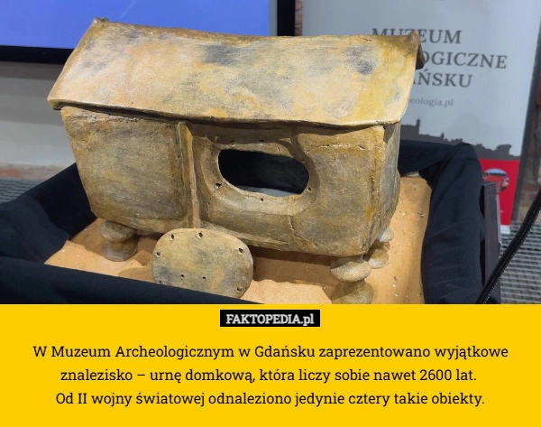 
    W Muzeum Archeologicznym w Gdańsku zaprezentowano wyjątkowe znalezisko –