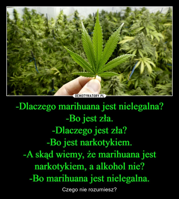 
    -Dlaczego marihuana jest nielegalna?
-Bo jest zła.
-Dlaczego jest zła?
-Bo jest narkotykiem.
-A skąd wiemy, że marihuana jest narkotykiem, a alkohol nie?
-Bo marihuana jest nielegalna.