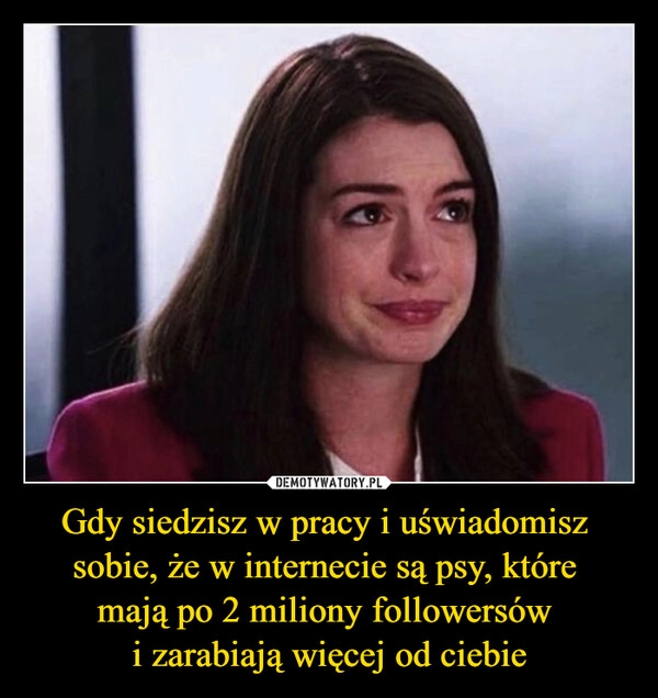 
    Gdy siedzisz w pracy i uświadomisz 
sobie, że w internecie są psy, które 
mają po 2 miliony followersów 
i zarabiają więcej od ciebie