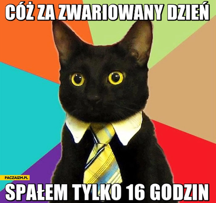 
    Cóż za zwariowany dzień spałem tylko 16 godzin